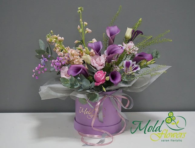Purple Lily Box photo
